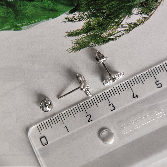 Silver earrings without stones