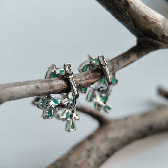 Срібні сережки з агатом 5.675ct