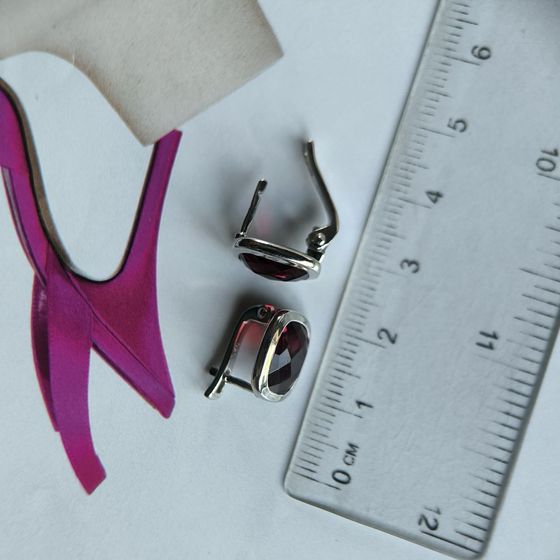 Silver earrings with garnet nano