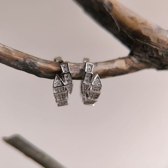 Silver Earrings with Fianites