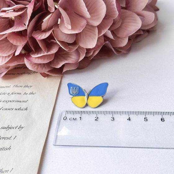 Срібна брошка з емаллю