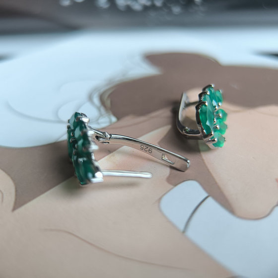 Silver Earrings with Agate (2.495 ct)
