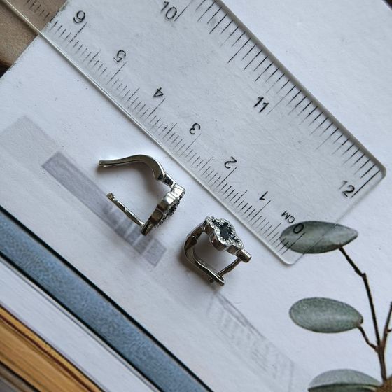 Срібні сережки з емаллю