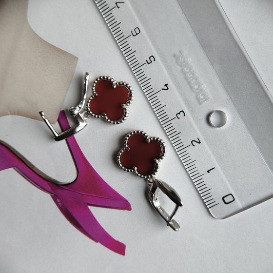 Silver earrings with agate