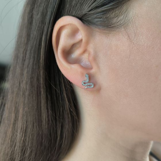 Silver Earrings with Fianites