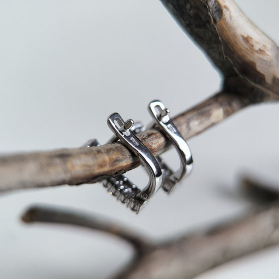 Срібні сережки з гранатом 1.369ct