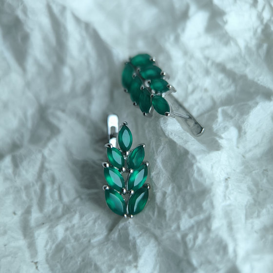 Silver Earrings with Agate (2.495 ct)