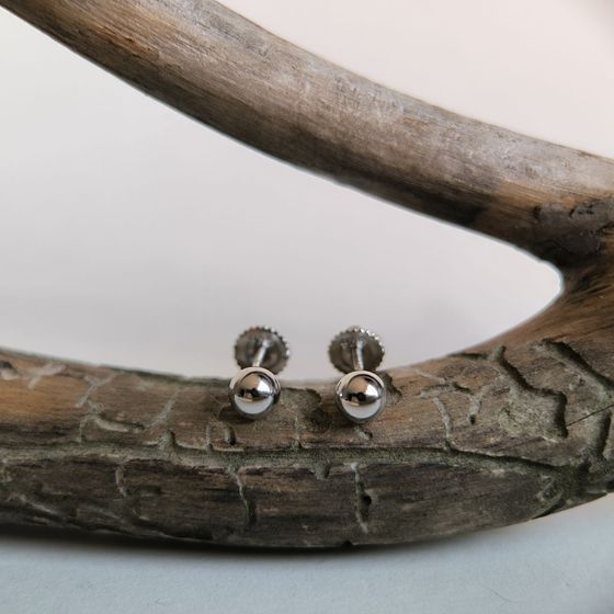 Silver earrings without stones