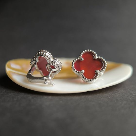Silver earrings with agate