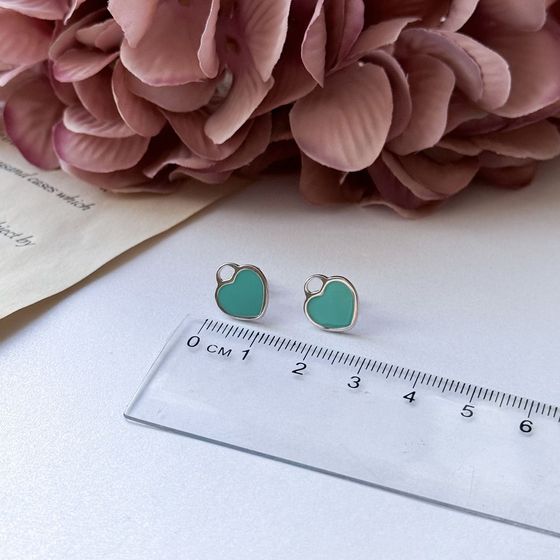 Silver earrings with yemallu