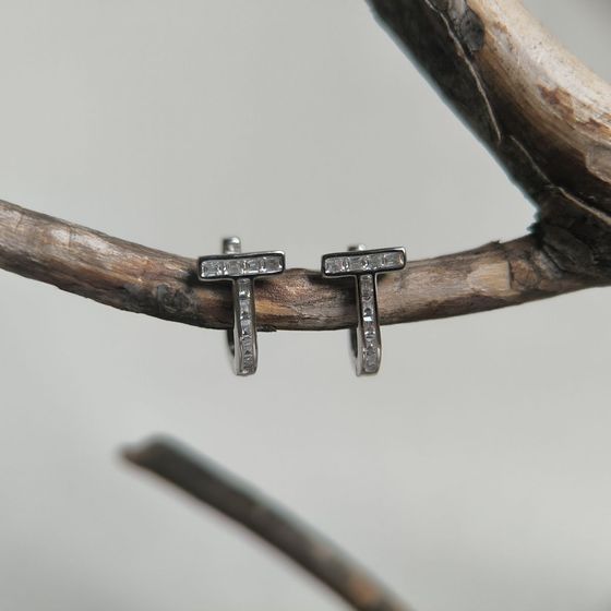 Silver Earrings with Fianites