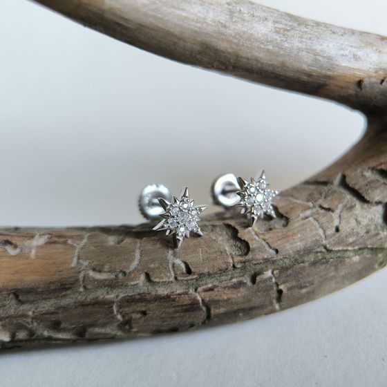 Silver Earrings with Fianites
