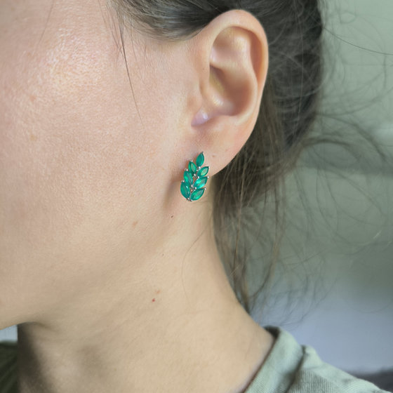 Silver Earrings with Agate (2.495 ct)