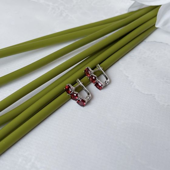 Silver earrings with garnet (3.929 carats)
