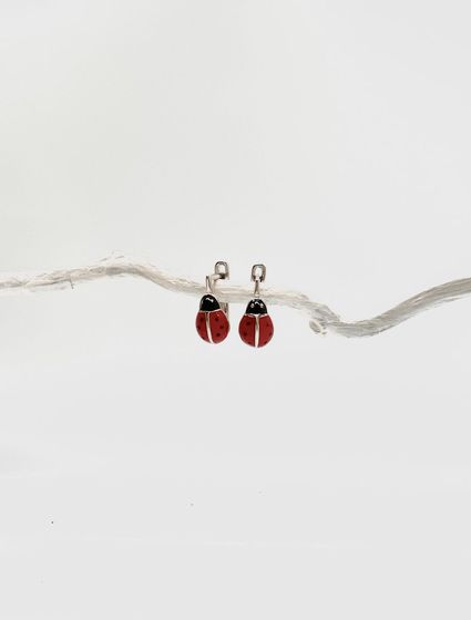 Срібні сережки з емаллю