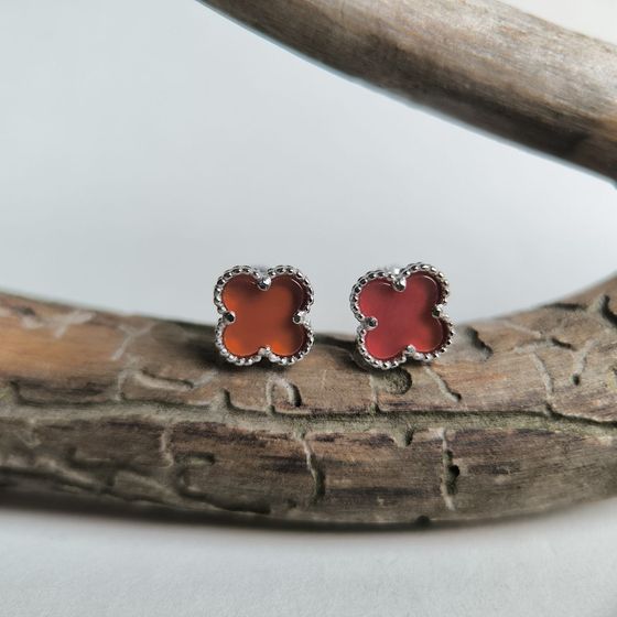 Silver earrings with agate