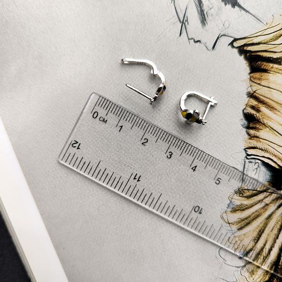 Срібні сережки з емаллю