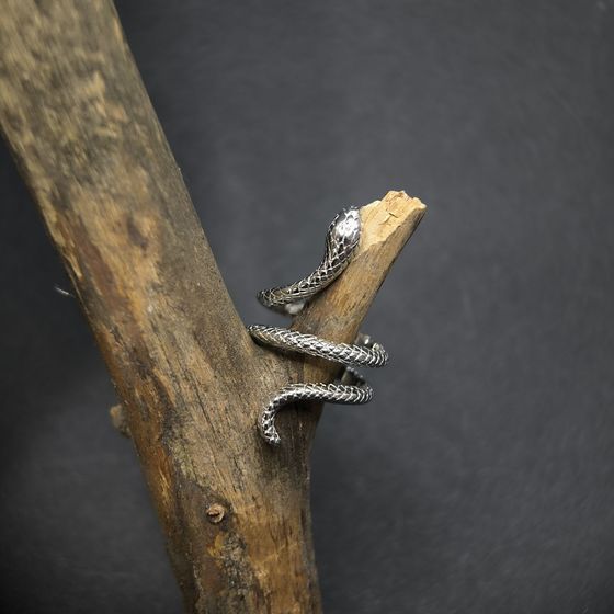 Silver ring without stones