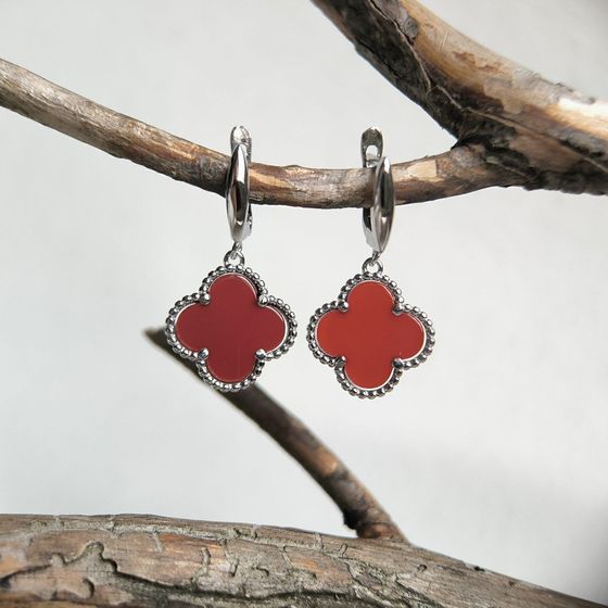 Silver earrings with agate
