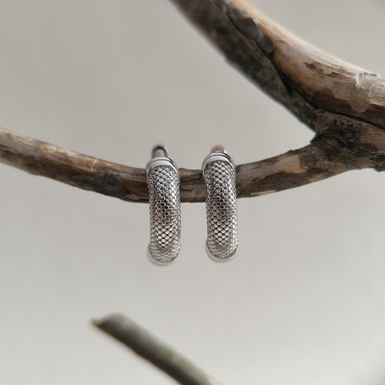 Silver earrings without stones