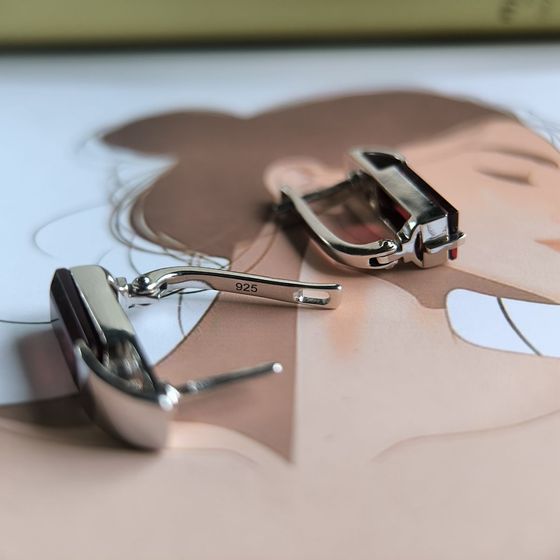 Silver earrings with garnet nano 4.351ct