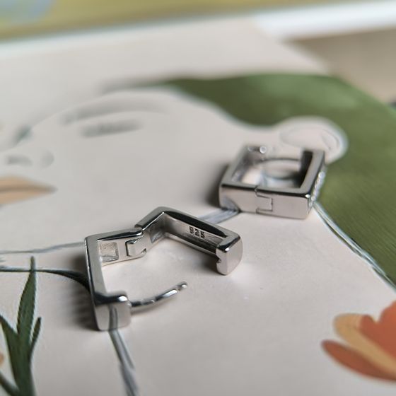 Silver Earrings with Fianites