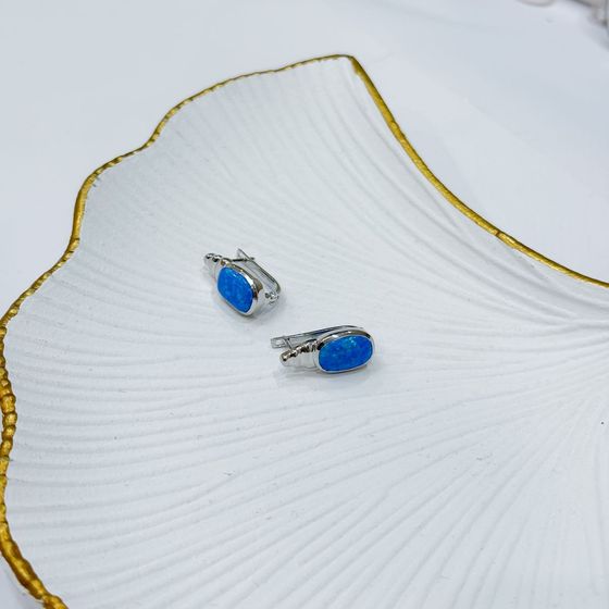Срібні сережки з опалом 2.875ct