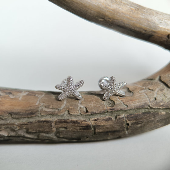Silver earrings without stones