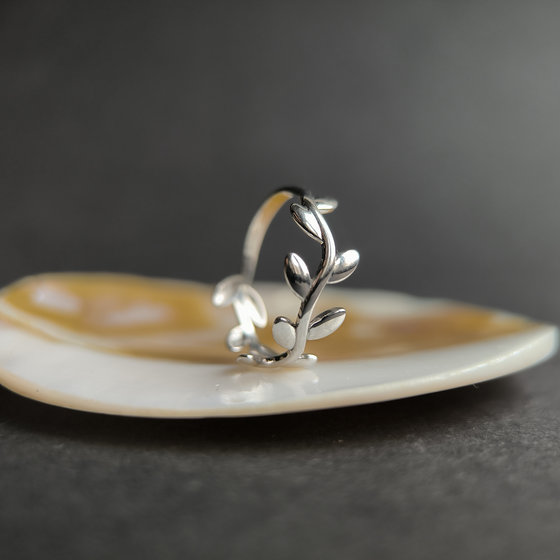 Silver ring without stones