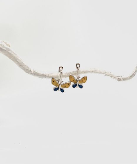 Срібні сережки з емаллю