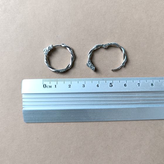 Silver Earrings with Fianites