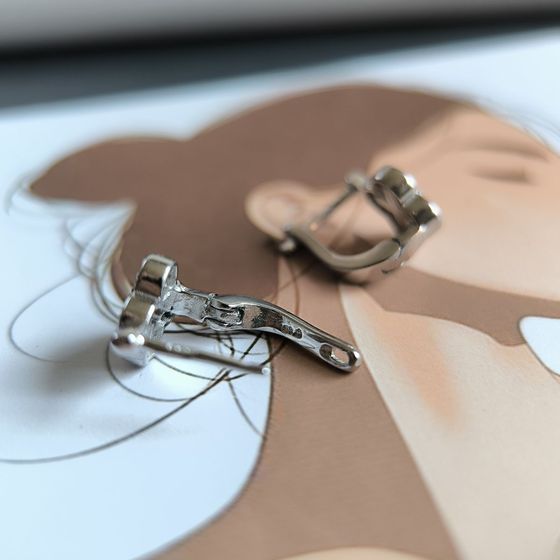 Срібні сережки з емаллю