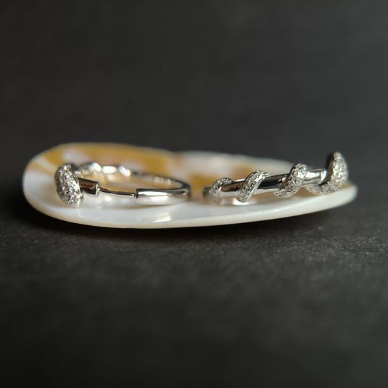 Silver Earrings with Fianites
