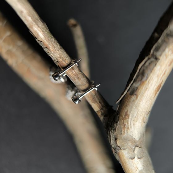 Silver Earrings with Fianites