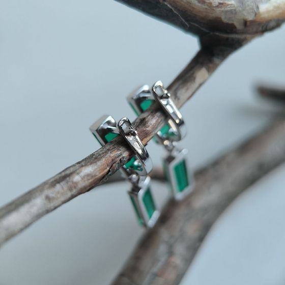 Silver earrings with agate 10.042ct
