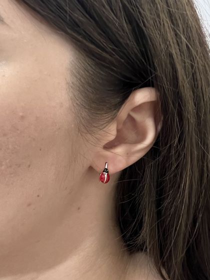 Срібні сережки з емаллю