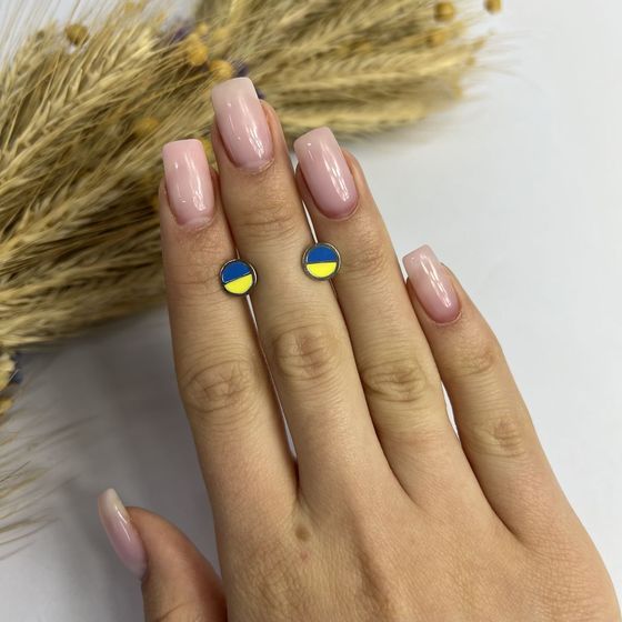 Срібні сережки з емаллю