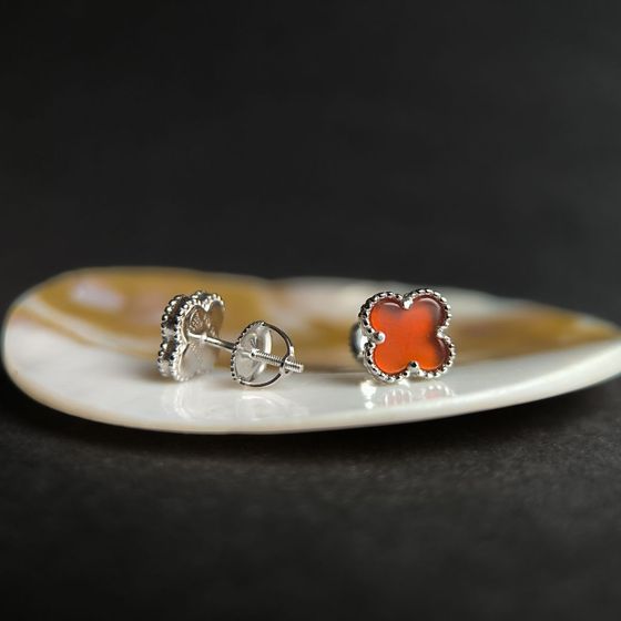Silver earrings with agate