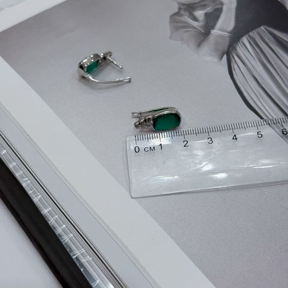 Серебряные серьги с агатом 6.519ct