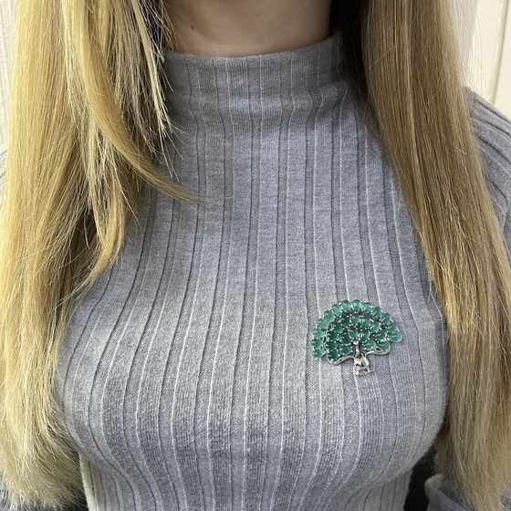 Срібна брошка з котячим оком