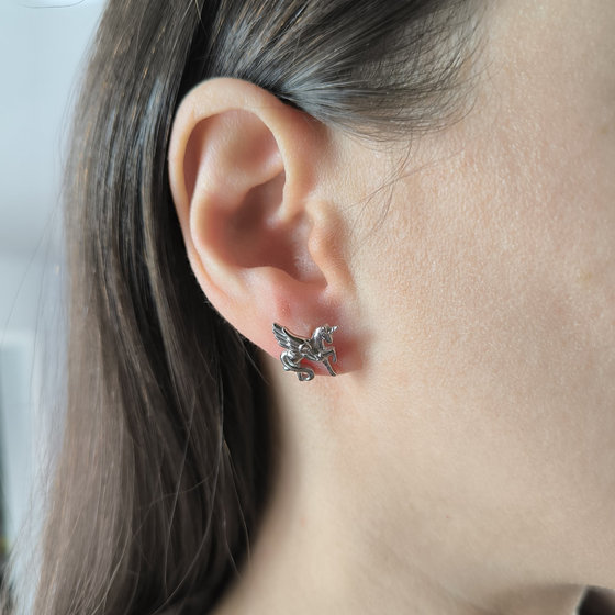 Silver earrings with Phianites