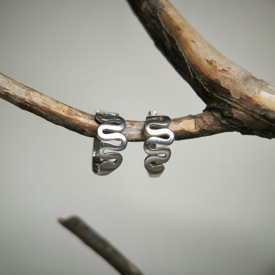 Silver earrings without stones