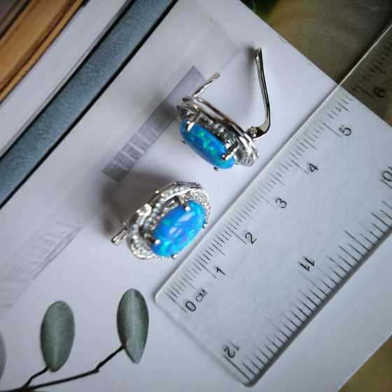 Срібні сережки з опалом 5.625ct
