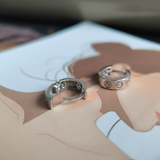 Silver Earrings with Fianites