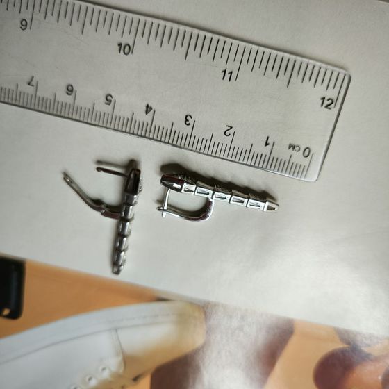 Silver Earrings with Fianites