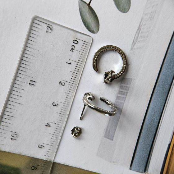 Silver Earrings with Fianites