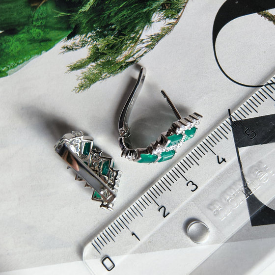 Срібні сережки з агатом 5.288ct