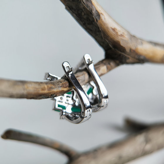 Срібні сережки з агатом 5.288ct