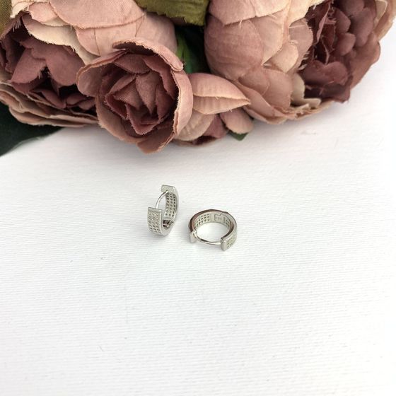 Silver Earrings with Fianites