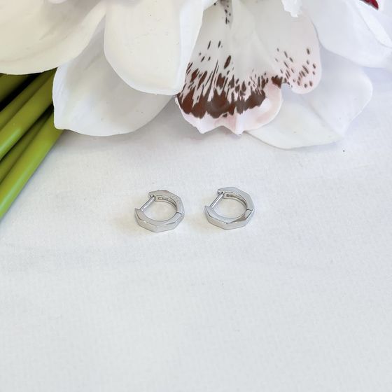 Silver earrings without stones